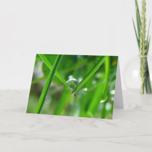 Cartão Segurando Mãos, Dew Droge Poesia da Natureza