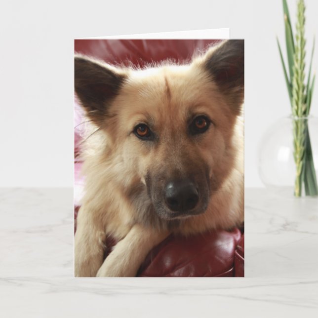 Cartão Seja bem-humorado (Frente)