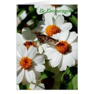 Cartão Seja incentivado