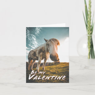 Cartão Seja meu Valentim com cavalo olhando