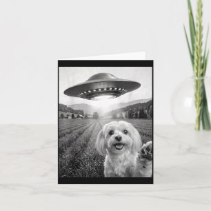 Cartão Selfie Com Alien OVNI Cachorro Maltês Mãe Pai Dive