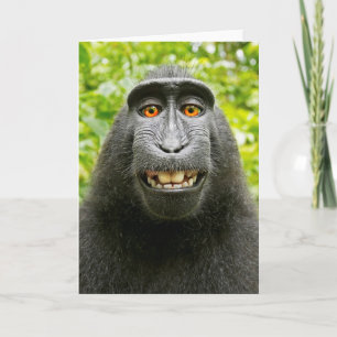 Cartão Selfie de Macaco