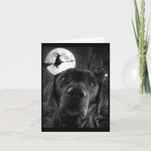 Cartão Selfie Labrador Feminino Engraçado Lua Cheia Voand