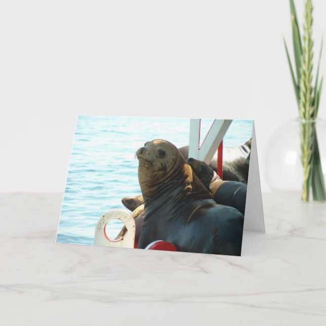 Cartão Selo da baía de Morro (Frente)