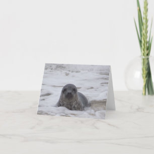 Cartão Selo - Notecard de Impressão de Foto a Cor Animal
