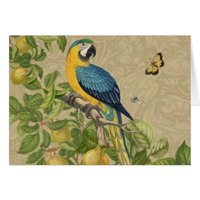 Cartão Selva Tropical Amarela Macaw Antiguidade (Frente Horizontal)