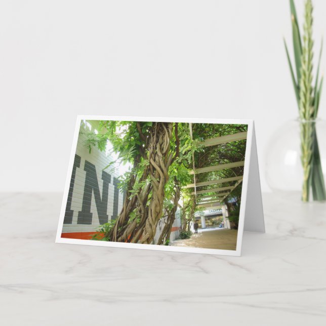 Cartão Selva urbana (Frente)