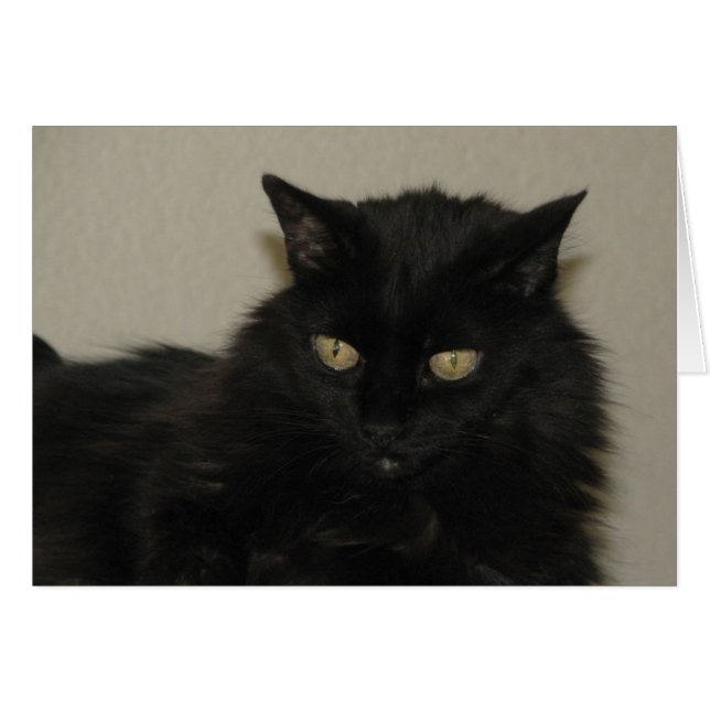 Cartão Selvagem (Frente Horizontal)