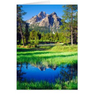 Cartão Selvagem de Sawtooth