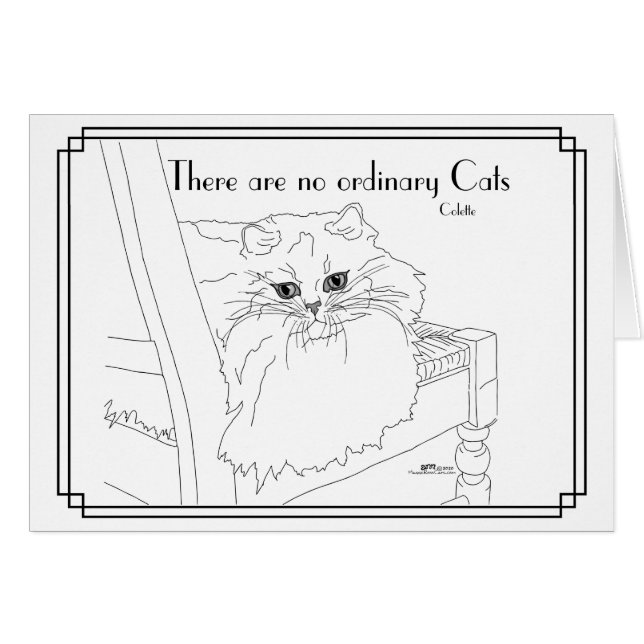 Cartão Sem Gatos Comuns (Frente Horizontal)