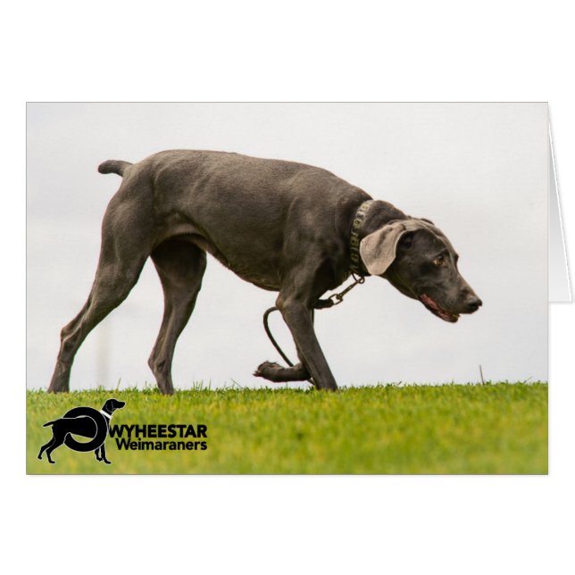 Cartão Sem tempo de tempestade (Frente Horizontal)