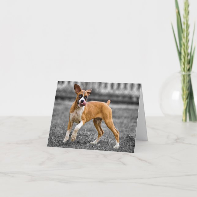 Cartão sem texto com imagem de cachorro Boxer filh (Frente)