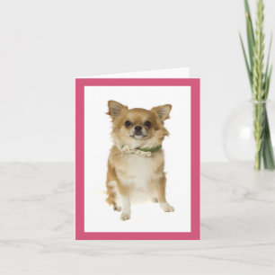 Cartão Sem Texto de Cachorrinho Chihuahua