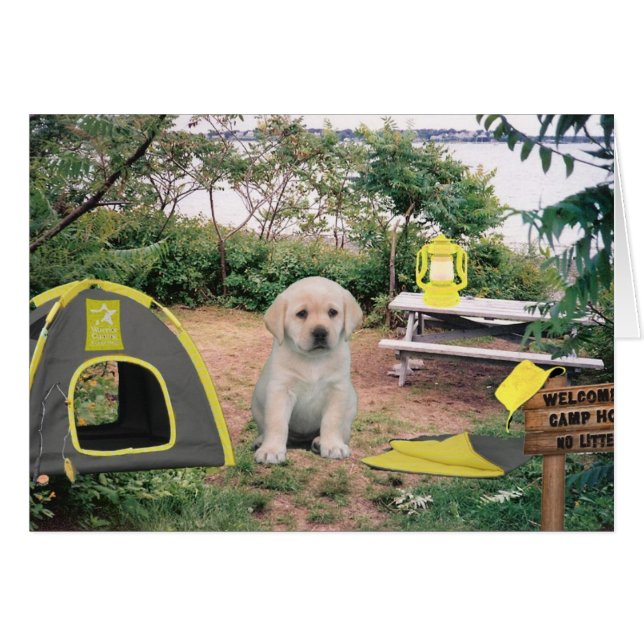 Cartão Semana 6 de Leigh Ann (Frente Horizontal)