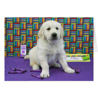 Cartão Semana 6 de Mike