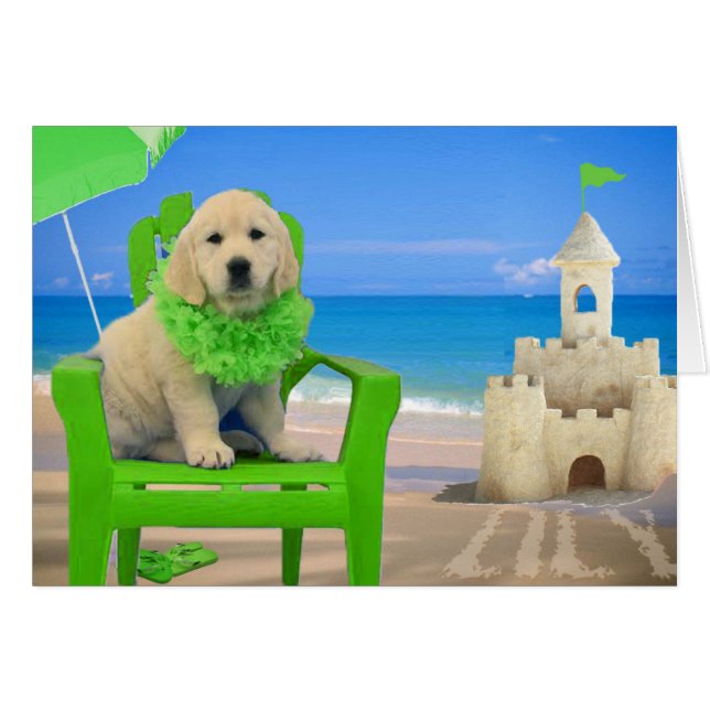 Cartão Semana 8 - Lírio da praia (Frente Horizontal)