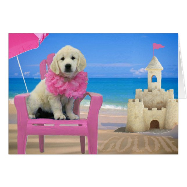 Cartão Semana 8 - Praia Goldie (Frente Horizontal)