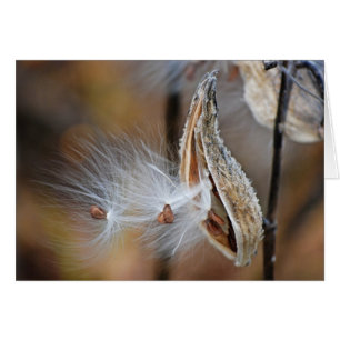 Cartão sementeira de ordenha