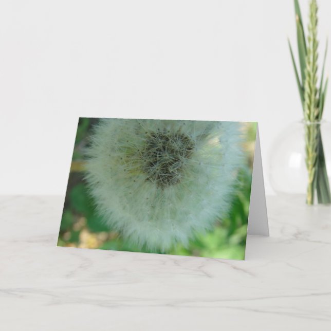 Cartão Sementes De Dandelion (Frente)