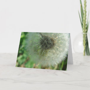 Cartão Sementes De Dandelion