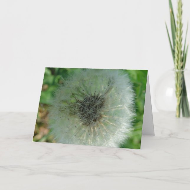 Cartão Sementes De Dandelion (Frente)