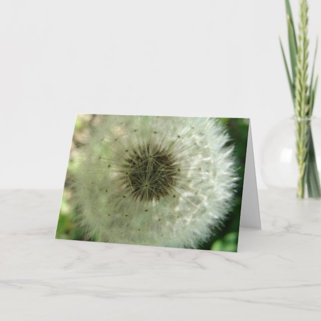 Cartão Sementes De Dandelion (Frente)