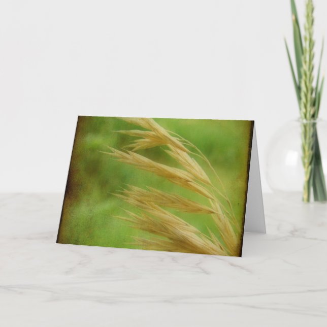 Cartão Sementes De Grama (Frente)