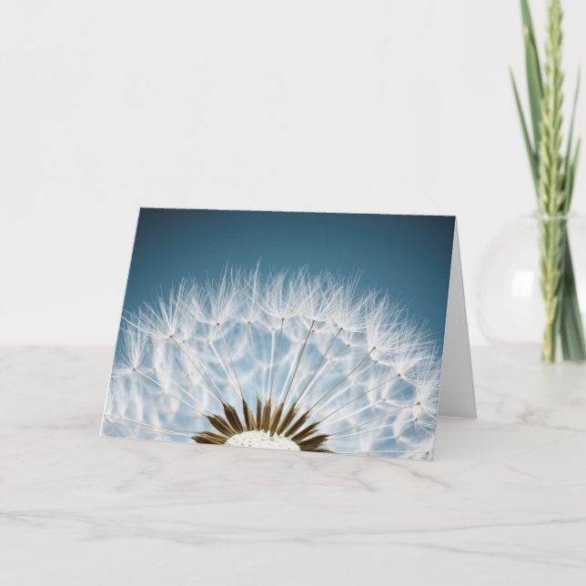 Cartão Sementes do dente-de-leão (Frente)