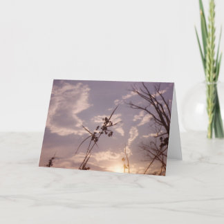 Cartão Sementes no início da noite