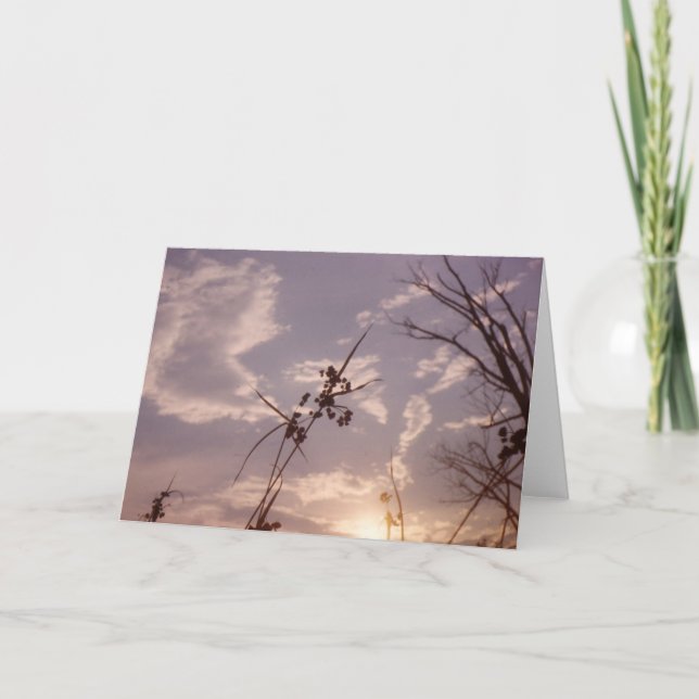 Cartão Sementes no início da noite (Frente)