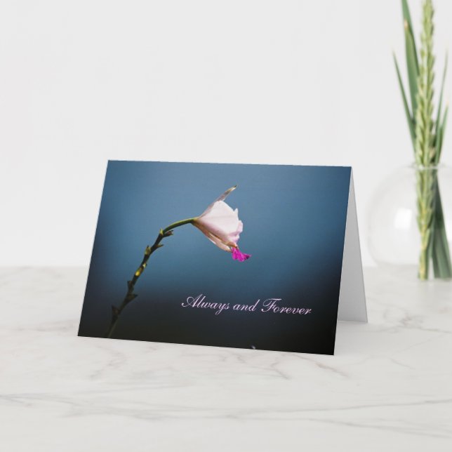 Cartão Sempre e para sempre (Frente)