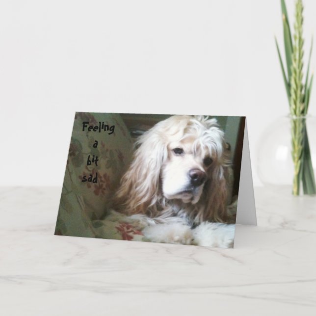 CARTÃO SENDO UM POUCO TRISTE SOBRE A PLACA DE COURO (Frente)