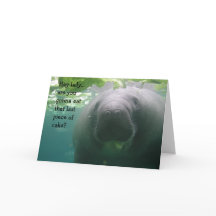 Senhora do pedaço de bolo do último do aniversário