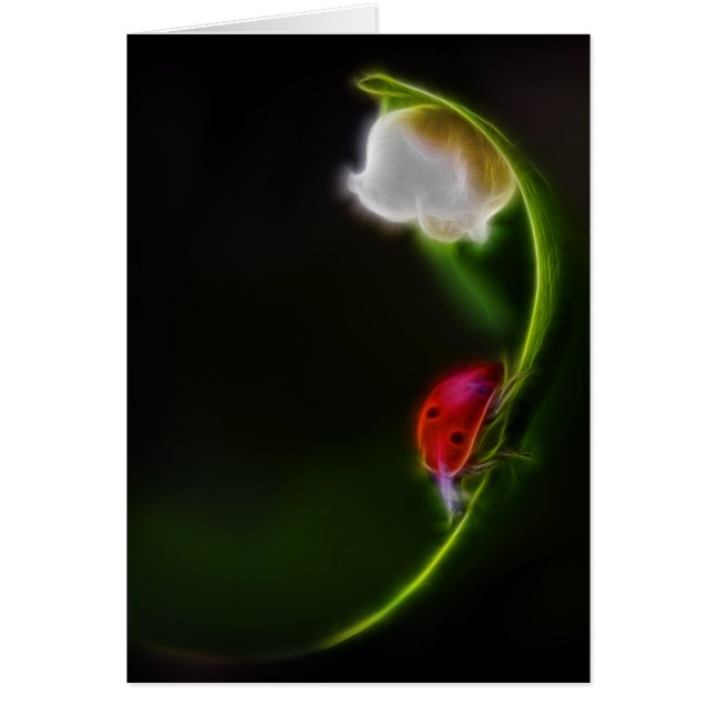 Cartão Senhora do Vale (Frente)