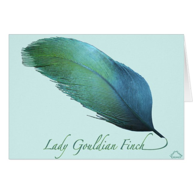 Cartão Senhora Gouldian Passarinho Cauda (Frente Horizontal)