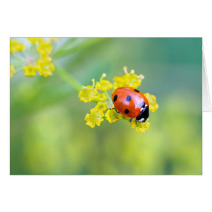 Cartão senhora no topo