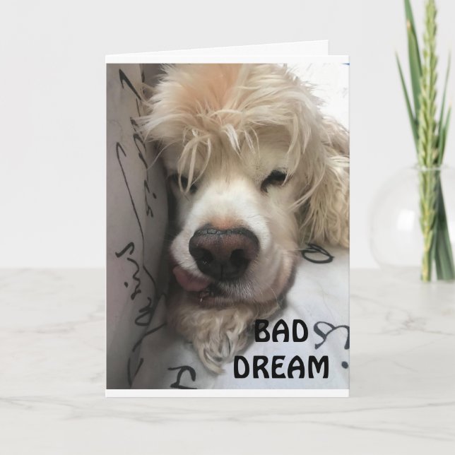 CARTÃO SENHORA QUE VOCÊ JÁ SE MOVEU. (Frente)