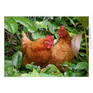 Cartão Senhoras na espera