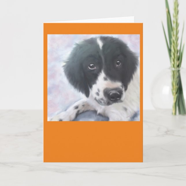 Cartão Senhorita Fannie - Spaniel de Springer inglês - (Frente)