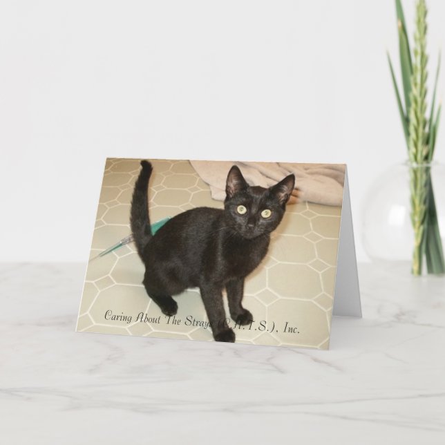 Cartão Senhorita Notecards (Frente)