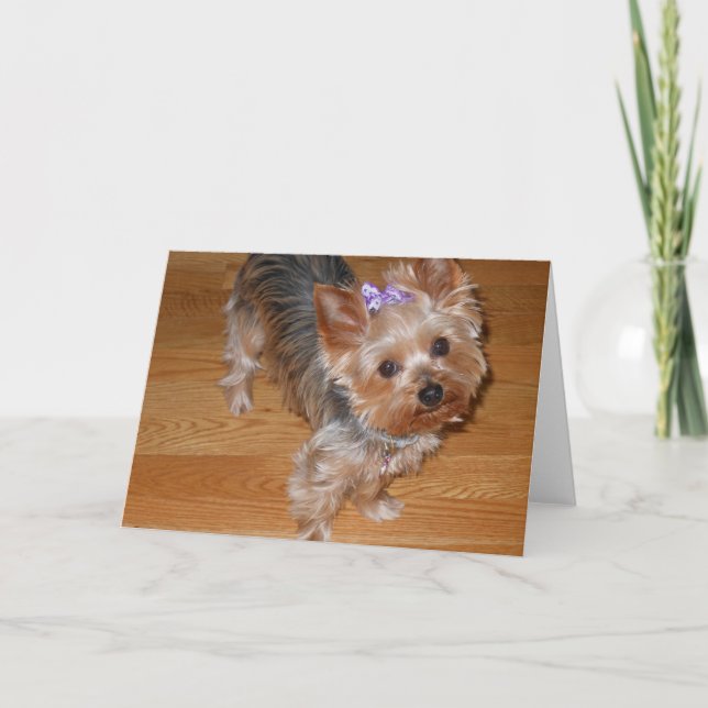 Cartão Senhorita Você (Frente)