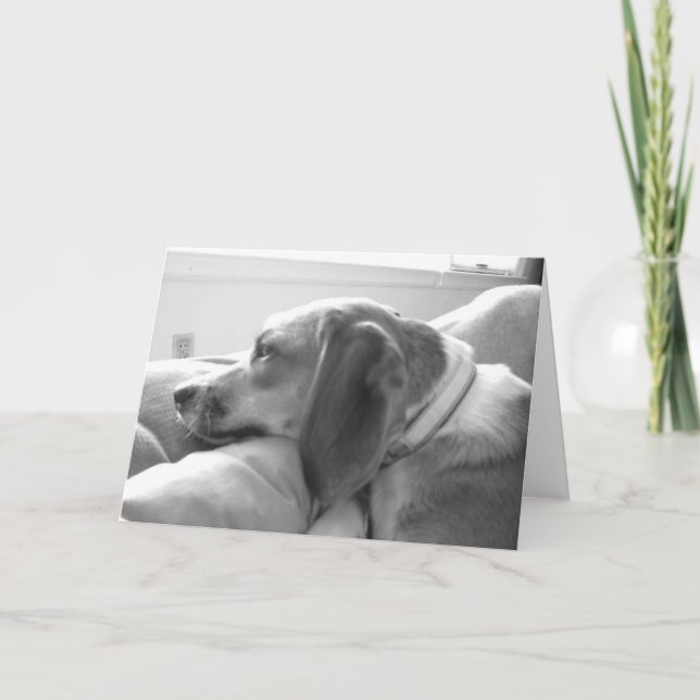 Cartão Senhorita você (Frente)