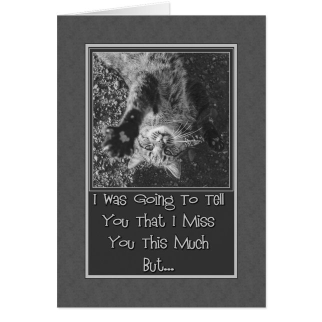 Cartão Senhorita Você Estreitando Gatinho (Frente)