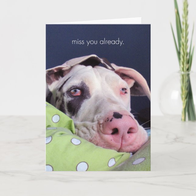 Cartão Senhorita Você Já (Frente)