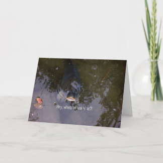 Cartão Sensação de peixes