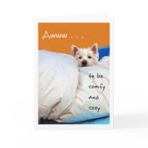 Sensação melhor, cão acolhedor e confortável de