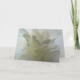 Cartão Sensual Delight AH2010