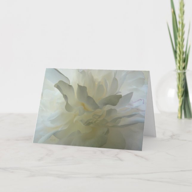 Cartão Sensual Delight AH2010 (Frente)