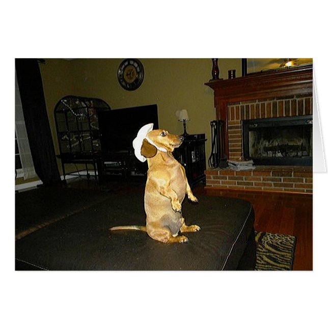 Cartão Sentado Bonito ou assistindo TV Dachshund (Frente Horizontal)