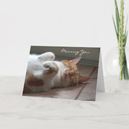 Cartão Sente falta do cartão-cama de gato bonito